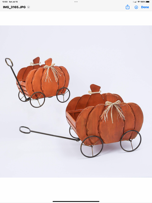 Large Pumpkin Carriage